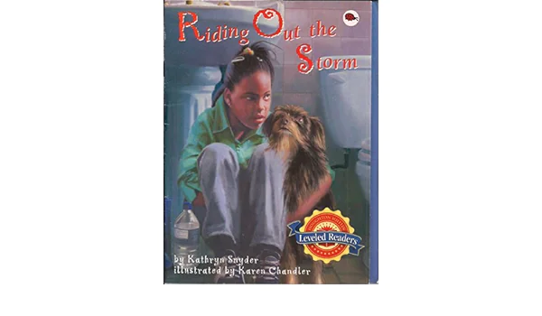 “Riding Out the Storm” – Used.