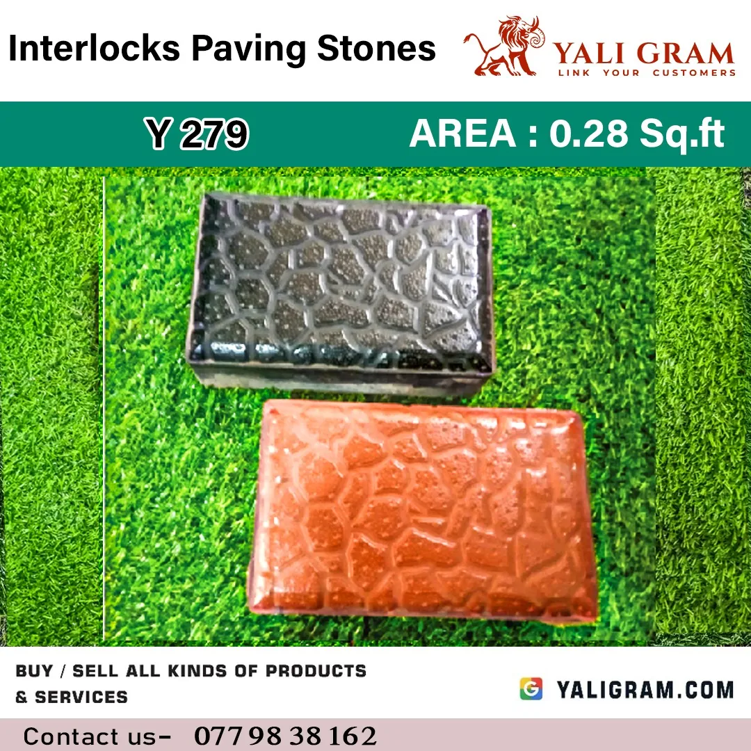 Interlocking Paving Stone – Y279 ( 1st Quality )