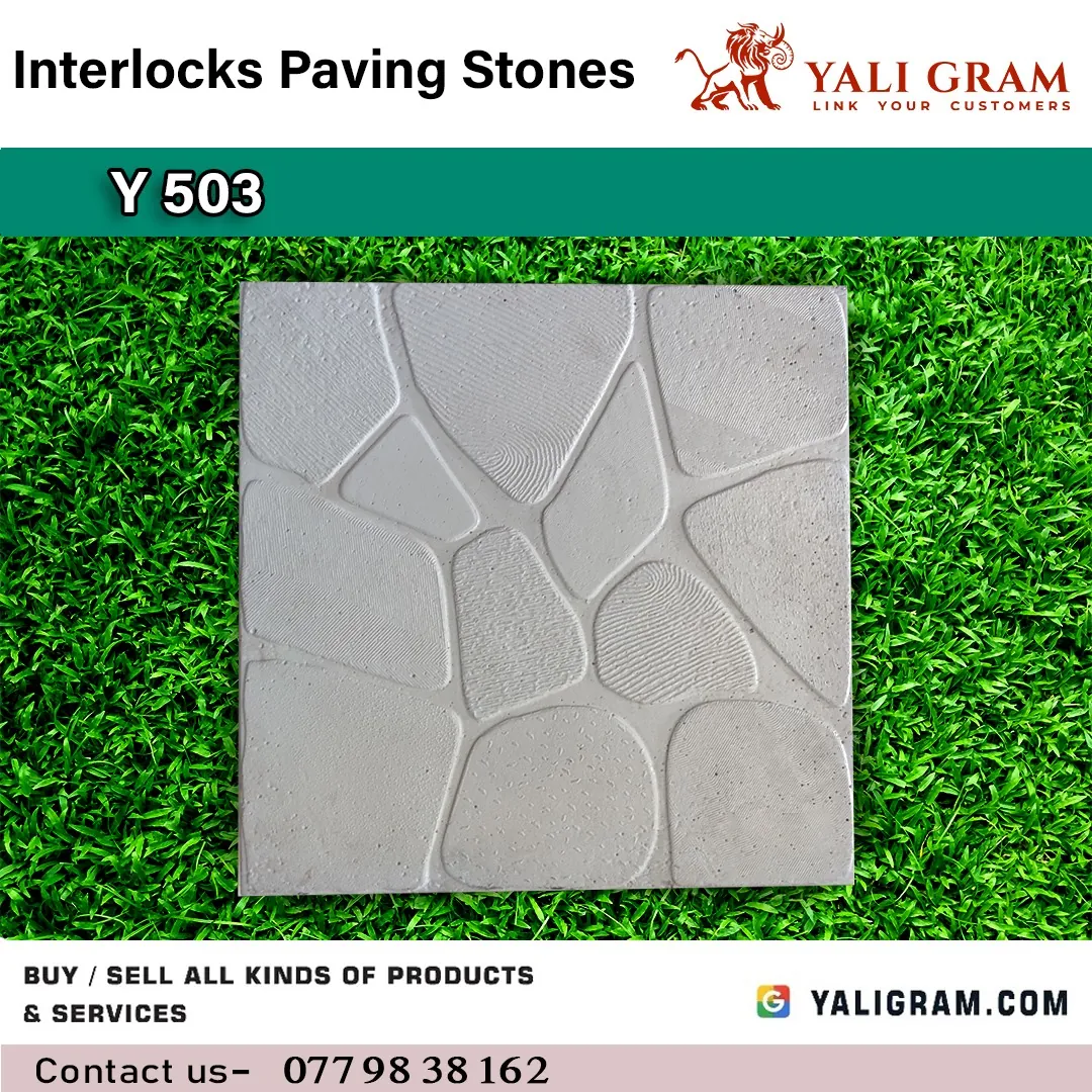 Interlocking Paving Stone – Y503 ( 1st Quality )
